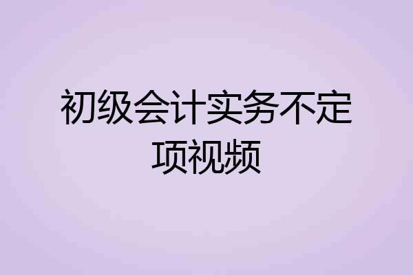 初级会计实务不定项视频