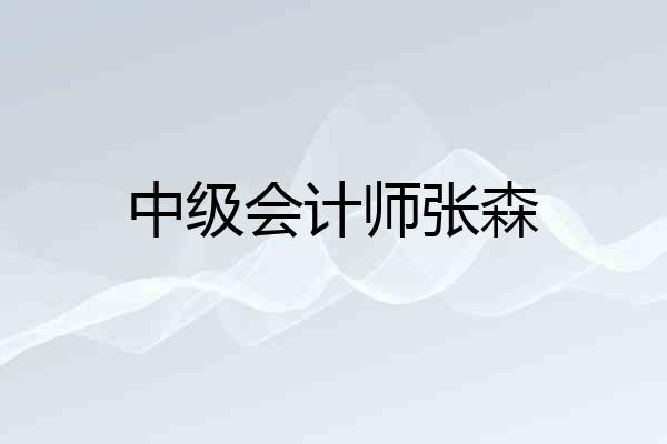 中级会计师张森