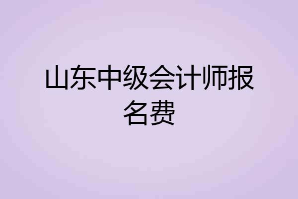 山东中级会计师报名费