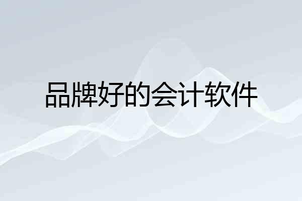 品牌好的会计软件