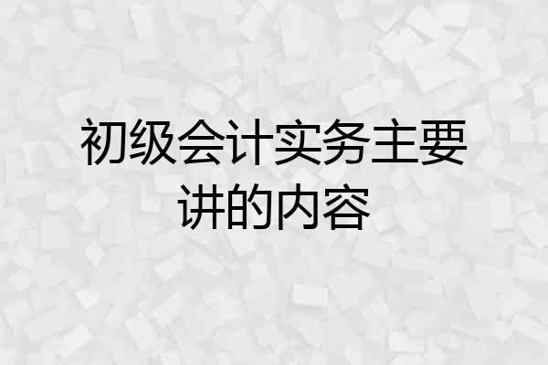 初级会计实务主要讲的内容