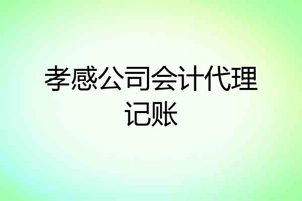 孝感公司会计代理记账