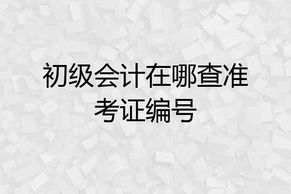 初级会计在哪查准考证编号