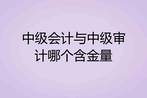 中级会计与中级审计哪个含金量