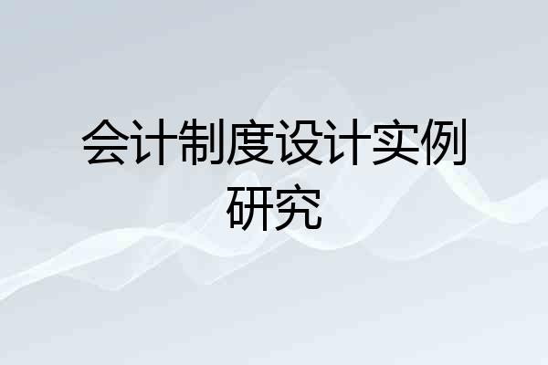 会计制度设计实例研究