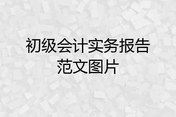 初级会计实务报告范文图片