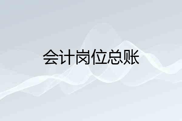 会计岗位总账