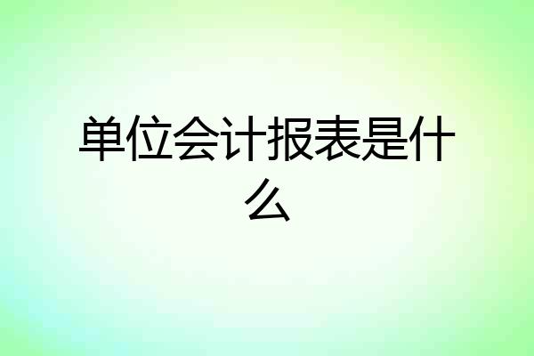 单位会计报表是什么