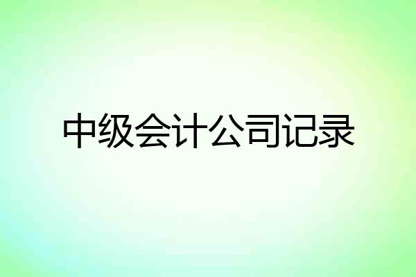 中级会计公司记录
