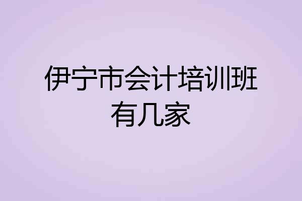 伊宁市会计培训班有几家