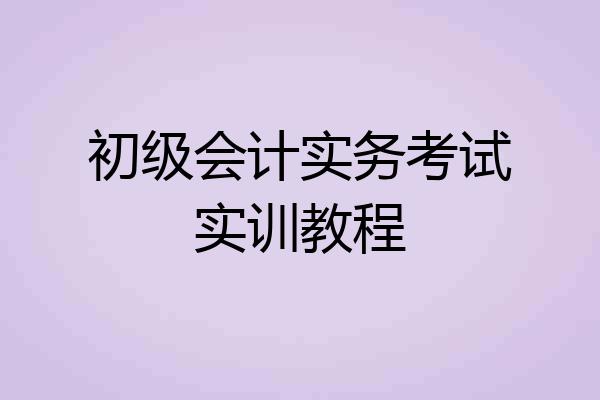 初级会计实务考试实训教程