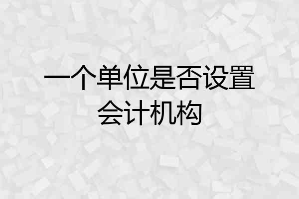 一个单位是否设置会计机构