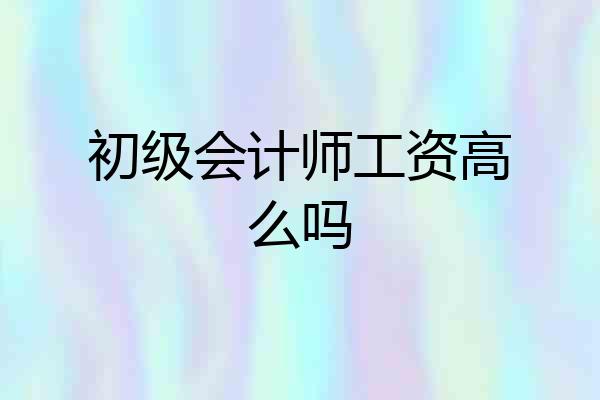 初级会计师工资高么吗