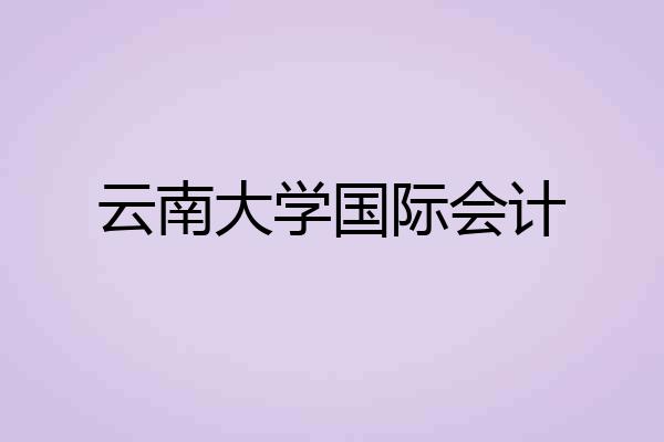 云南大学国际会计