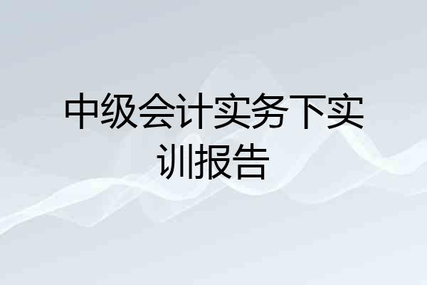 中级会计实务下实训报告