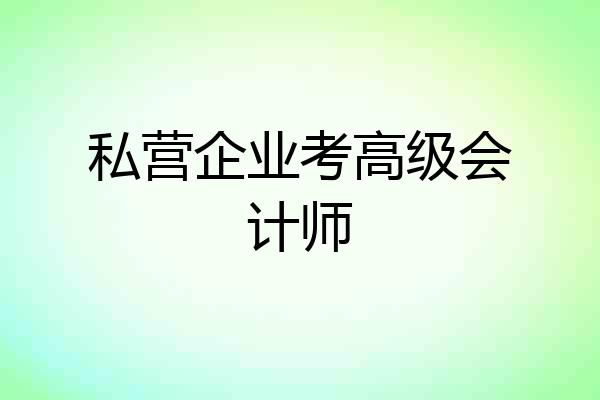 私营企业考高级会计师