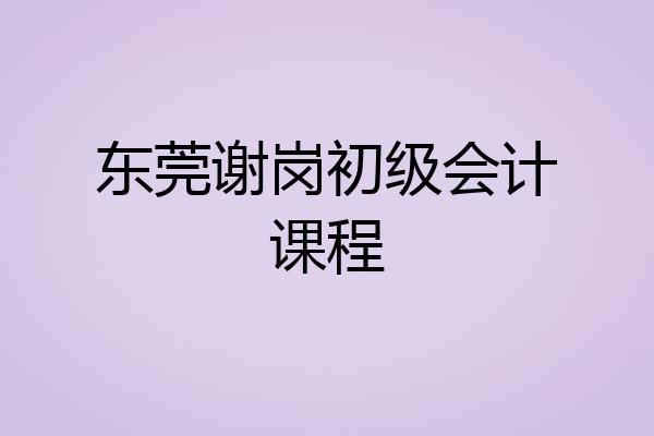 东莞谢岗初级会计课程