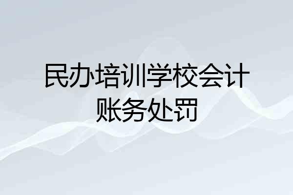 民办培训学校会计账务处罚