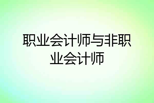 职业会计师与非职业会计师
