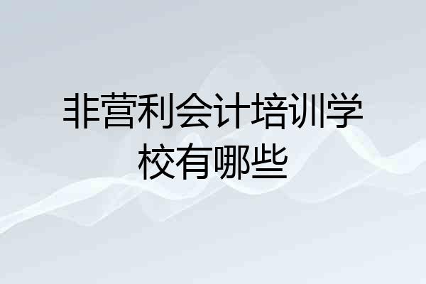 非营利会计培训学校有哪些