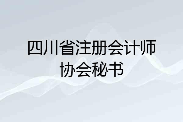 四川省注册会计师协会秘书