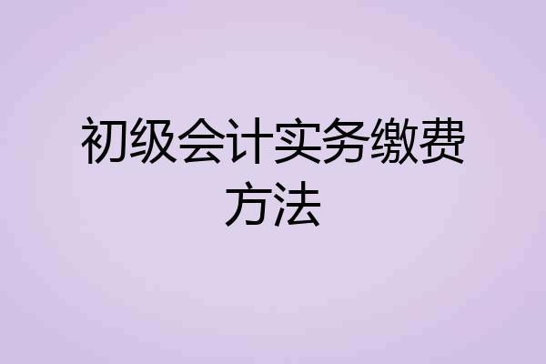 初级会计实务缴费方法