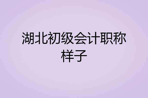 湖北初级会计职称样子