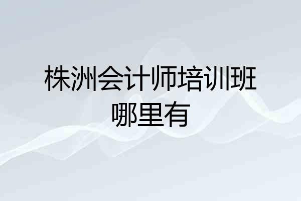 株洲会计师培训班哪里有