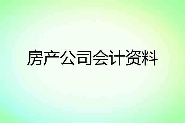 房产公司会计资料