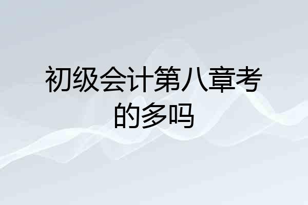 初级会计第八章考的多吗