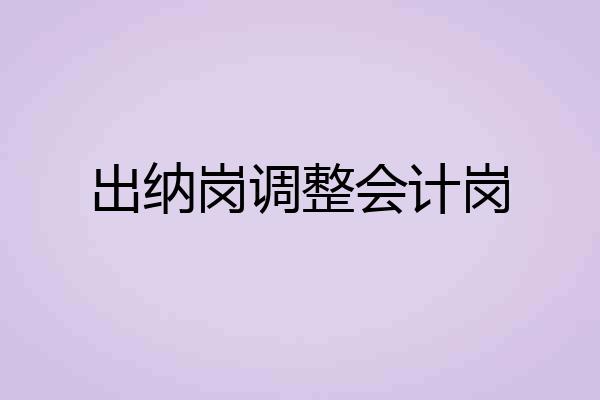 出纳岗调整会计岗