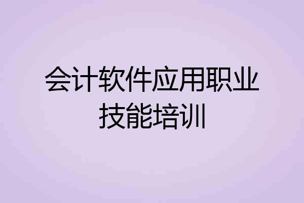 会计软件应用职业技能培训