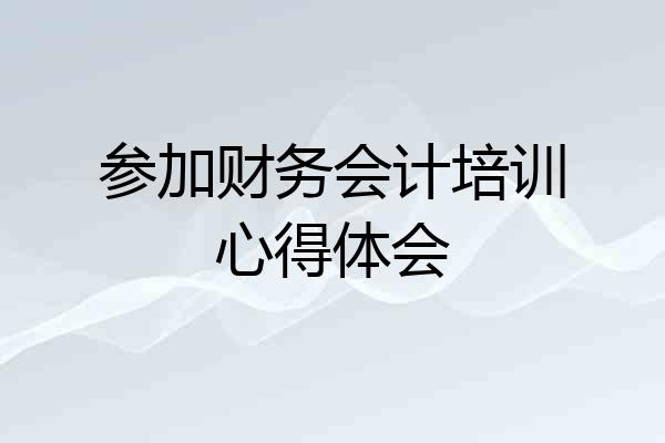 参加财务会计培训心得体会