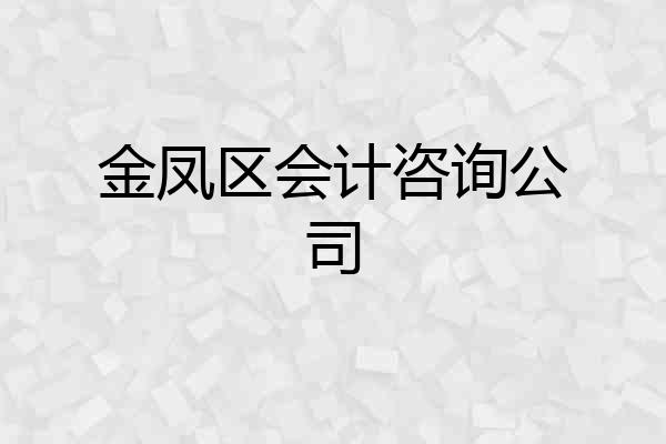 金凤区会计咨询公司