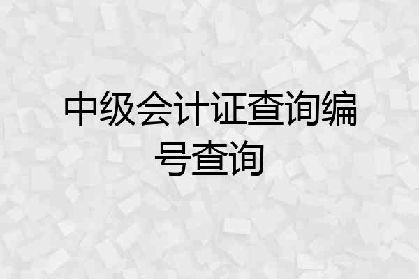中级会计证查询编号查询
