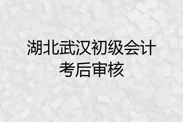 湖北武汉初级会计考后审核