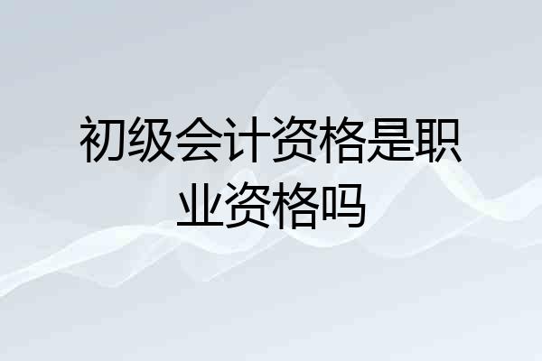 初级会计资格是职业资格吗