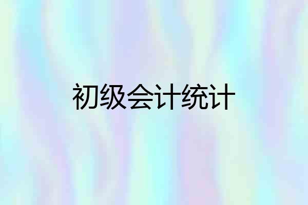 初级会计统计