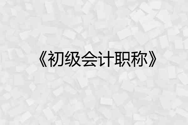 《初级会计职称》