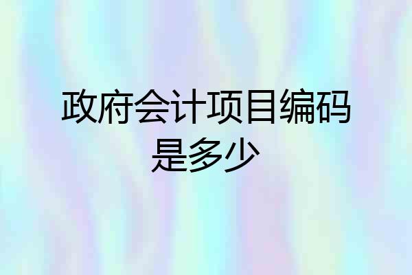 政府会计项目编码是多少