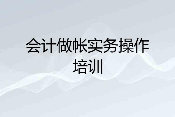 会计做帐实务操作培训
