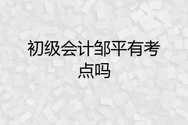 初级会计邹平有考点吗
