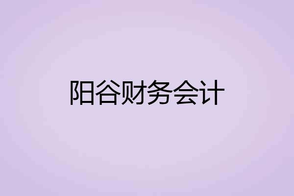 阳谷财务会计