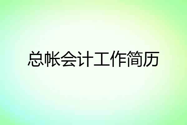 总帐会计工作简历