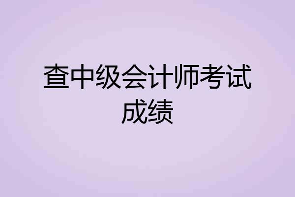 查中级会计师考试成绩