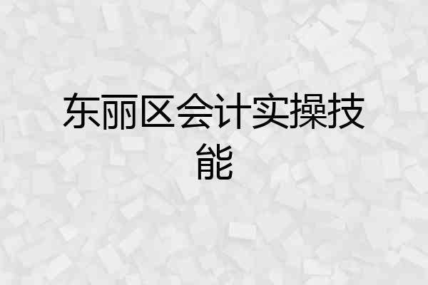 东丽区会计实操技能