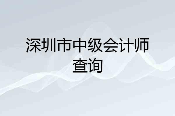 深圳市中级会计师查询