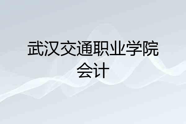 武汉交通职业学院会计