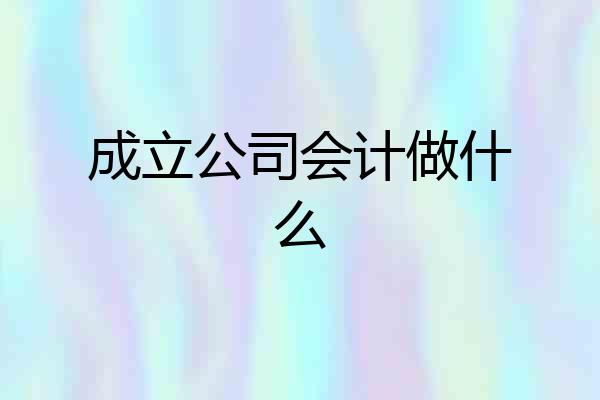 成立公司会计做什么