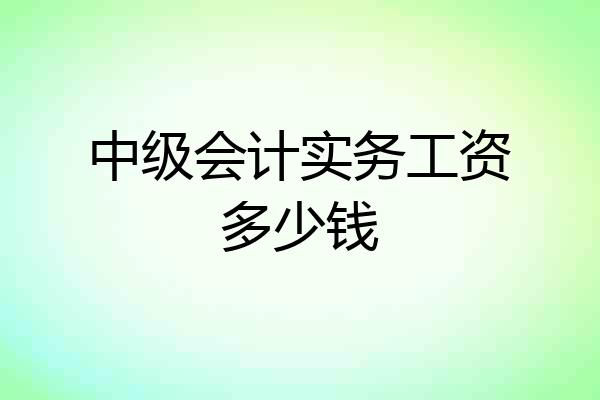中级会计实务工资多少钱